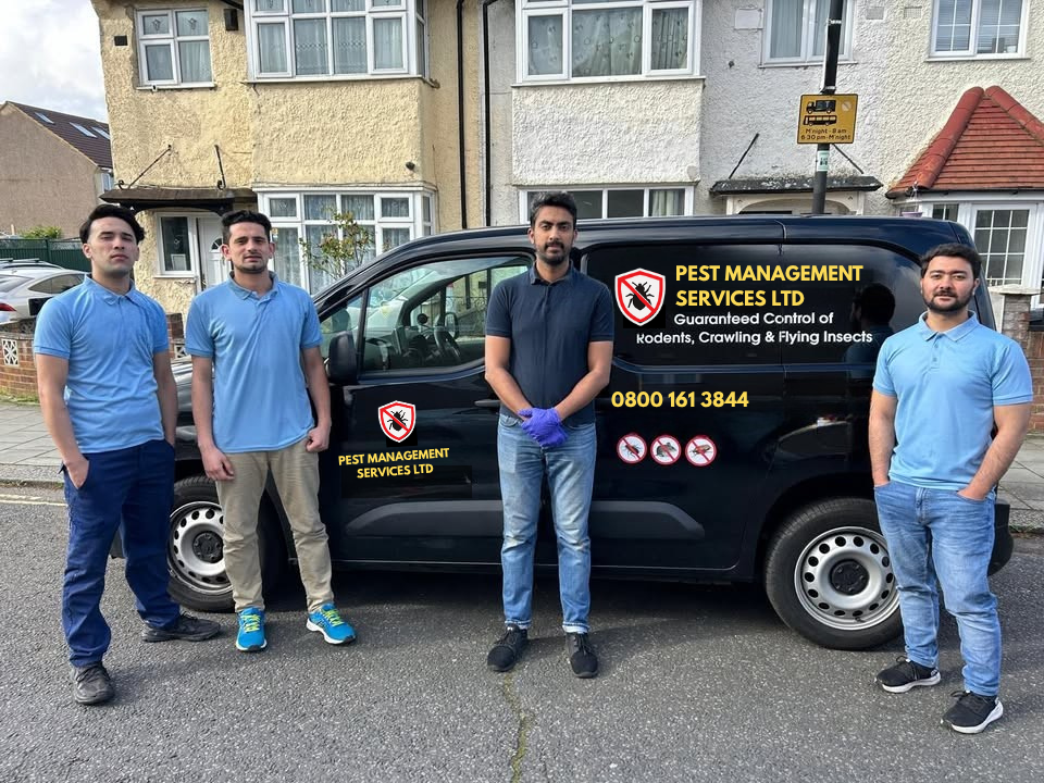 Pest Control Southall, Hayes, Hounslow and London expert
